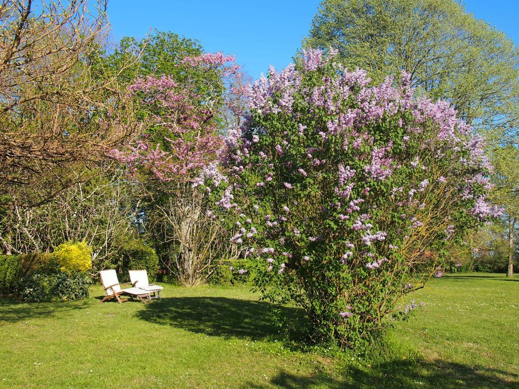 Gite De Charme Au Bord Du Tarn Marssac-sur-Tarn Exteriör bild